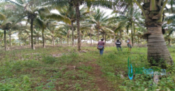 Digos Agricultural Land