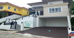 Las Terrazas Brand  New House And Lot